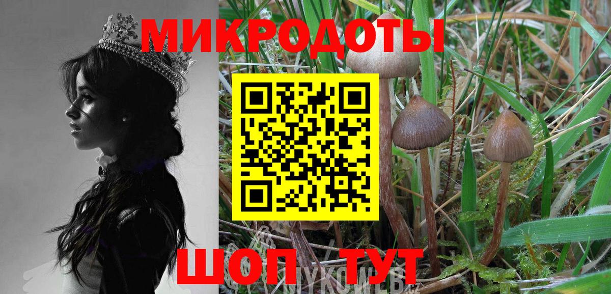 купить наркотики цена  Вход с VPN  Моздок  Галлюциногенные грибы мицелий 